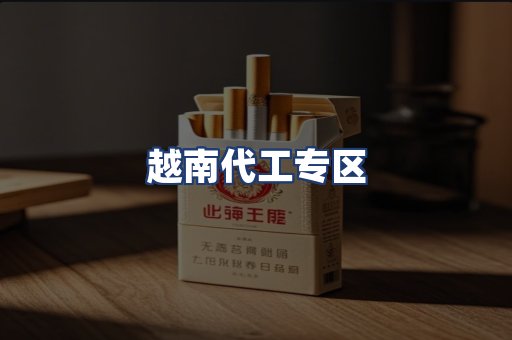 越南代工专区
